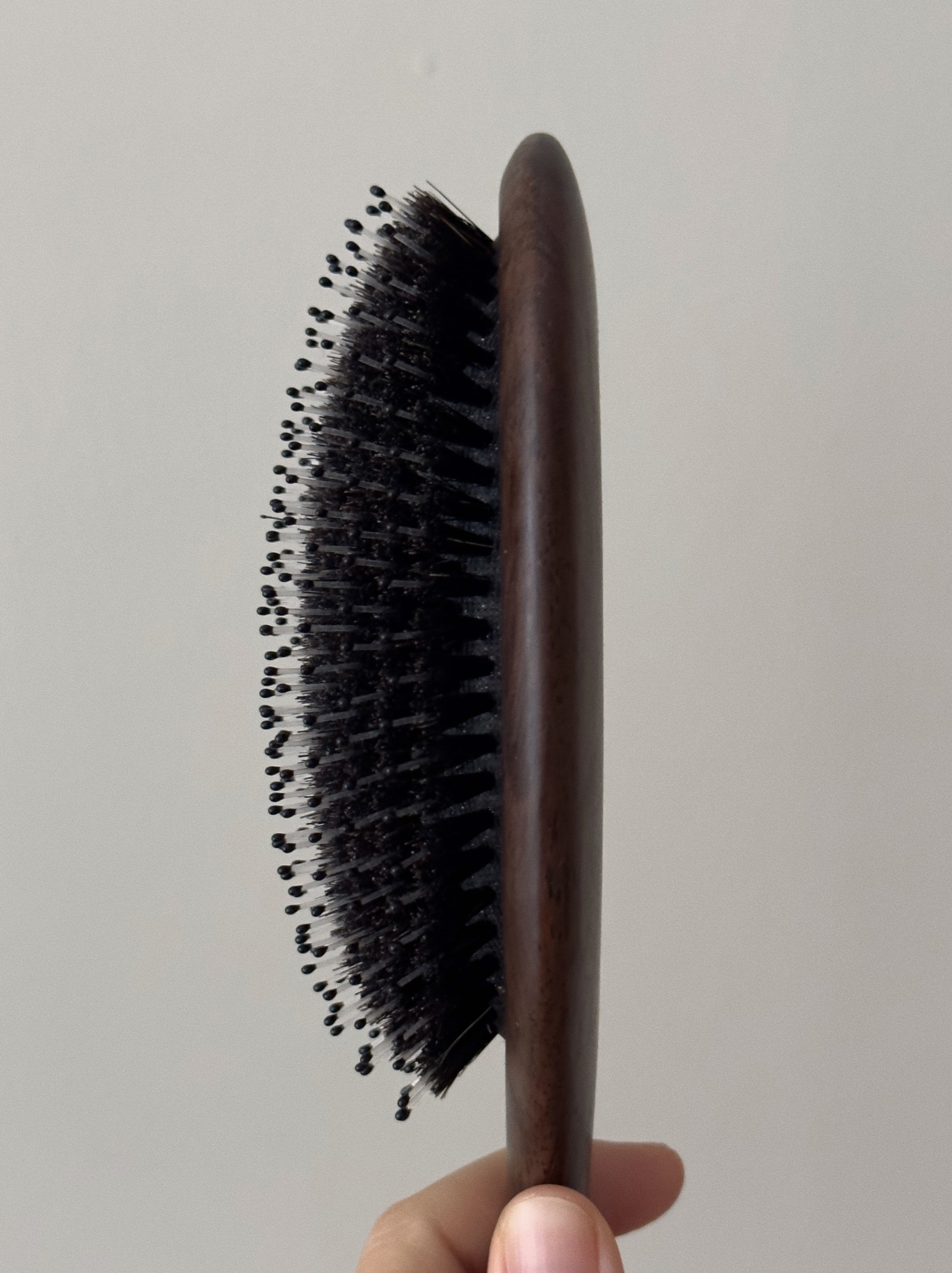 Hair Brush/Everyday