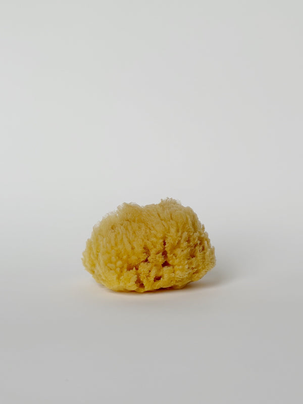 Natural Sponge